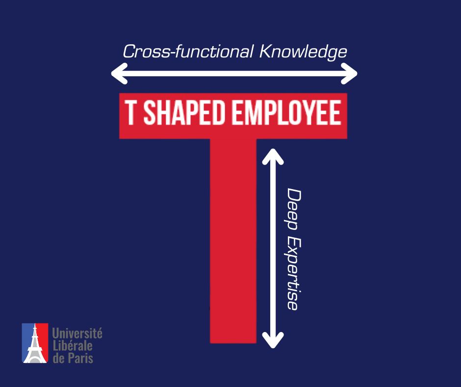 kỹ năng của nhân sự T-shaped 