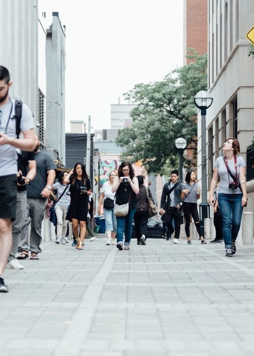 pedestrians-918471_1920